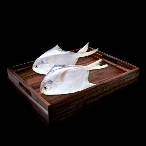 Pomfret Silver Fish